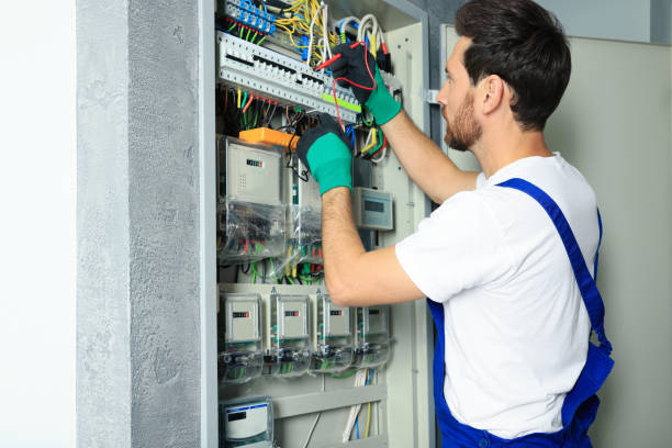 Best Electric Panel Repair  in Pueblo West, CO